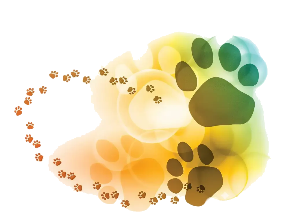 Salón Canino Azucena logo